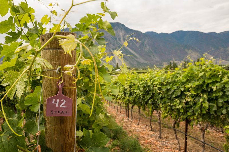 Similkameen Valley